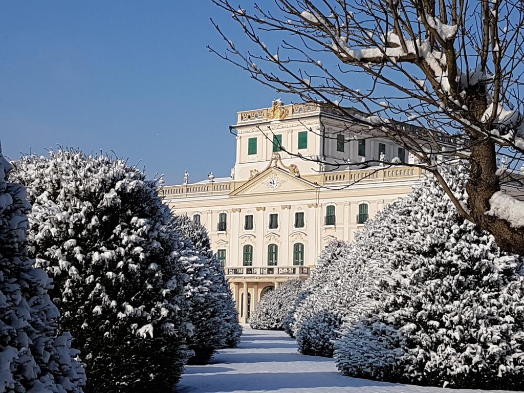 Hotel Fertodi Kuria Vendeghaz Zewnętrze zdjęcie